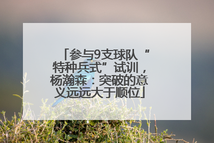 参与9支球队“特种兵式”试训，杨瀚森：突破的意义远远大于顺位