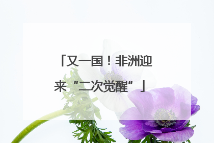 又一国！非洲迎来“二次觉醒”