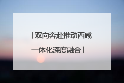 双向奔赴推动西咸一体化深度融合
