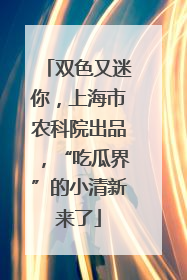 双色又迷你，上海市农科院出品，“吃瓜界”的小清新来了