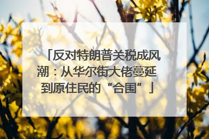 反对特朗普关税成风潮：从华尔街大佬蔓延到原住民的“合围”