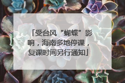 受台风“蝴蝶”影响，海南多地停课，复课时间另行通知