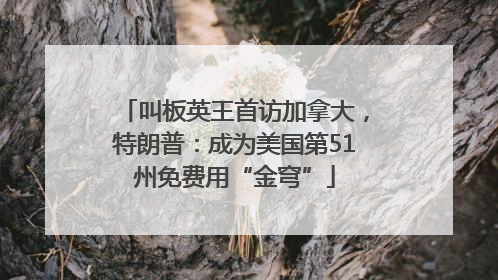 叫板英王首访加拿大，特朗普：成为美国第51州免费用“金穹”
