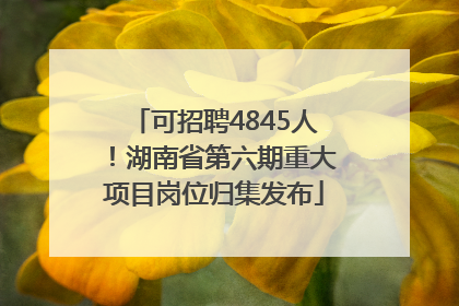 可招聘4845人！湖南省第六期重大项目岗位归集发布