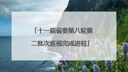 十一届省委第八轮第二批次巡视完成进驻
