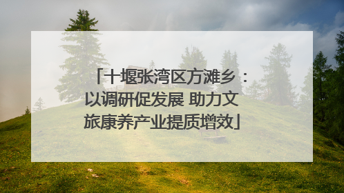 十堰张湾区方滩乡：以调研促发展 助力文旅康养产业提质增效