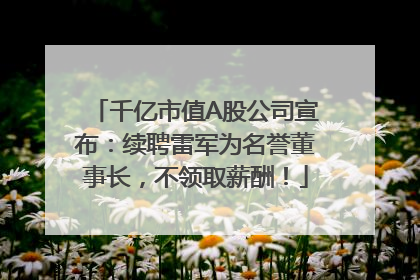 千亿市值A股公司宣布：续聘雷军为名誉董事长，不领取薪酬！