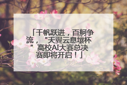千帆跃进，百舸争流，“天翼云息壤杯”高校AI大赛总决赛即将开启！