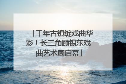 千年古镇绽戏曲华彩！长三角顾锡东戏曲艺术周启幕