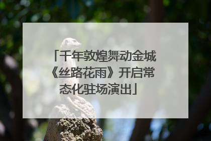 千年敦煌舞动金城《丝路花雨》开启常态化驻场演出