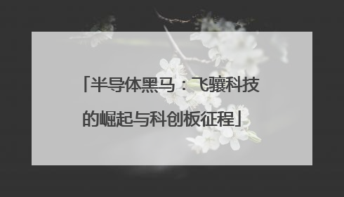 半导体黑马：飞骧科技的崛起与科创板征程