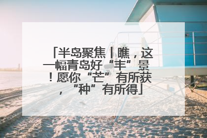 半岛聚焦丨瞧，这一幅青岛好“丰”景！愿你“芒”有所获，“种”有所得