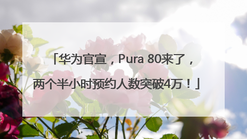 华为官宣，Pura 80来了，两个半小时预约人数突破4万！