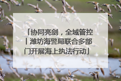 协同亮剑，全域管控丨潍坊海警局联合多部门开展海上执法行动