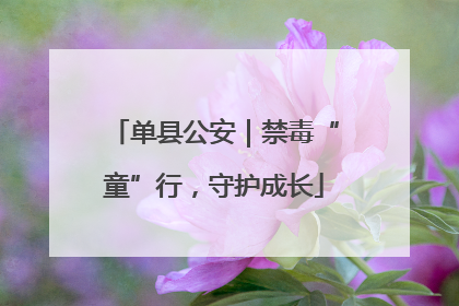 单县公安｜禁毒“童”行，守护成长
