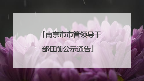南京市市管领导干部任前公示通告
