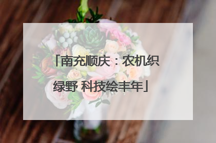 南充顺庆：农机织绿野 科技绘丰年