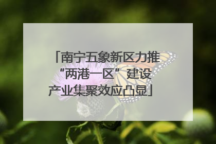 南宁五象新区力推“两港一区”建设 产业集聚效应凸显