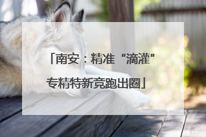 南安：精准“滴灌”专精特新竞跑出圈
