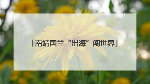 南靖国兰“出海”闯世界