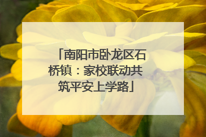 南阳市卧龙区石桥镇：家校联动共筑平安上学路