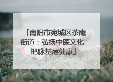 南阳市宛城区茶庵街道：弘扬中医文化 把脉基层健康