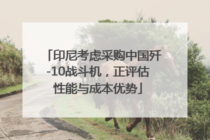 印尼考虑采购中国歼-10战斗机，正评估性能与成本优势