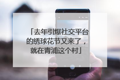 去年引爆社交平台的绣球花节又来了，就在青浦这个村