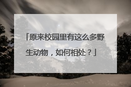 原来校园里有这么多野生动物，如何相处？