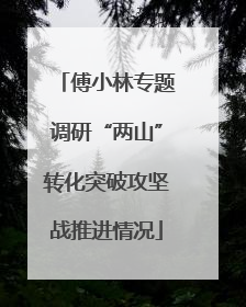 傅小林专题调研“两山”转化突破攻坚战推进情况