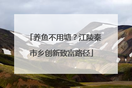 养鱼不用塘？江陵秦市乡创新致富路径