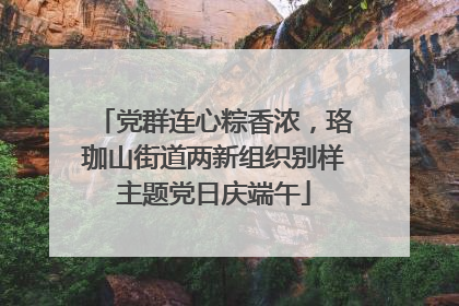 党群连心粽香浓，珞珈山街道两新组织别样主题党日庆端午