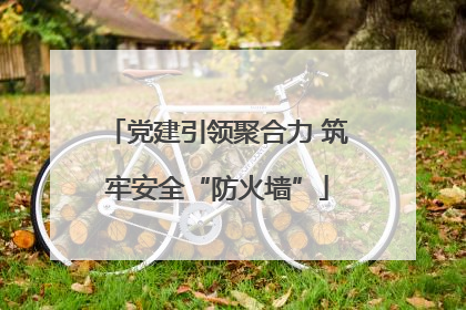 党建引领聚合力 筑牢安全“防火墙”