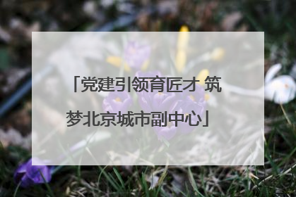 党建引领育匠才 筑梦北京城市副中心