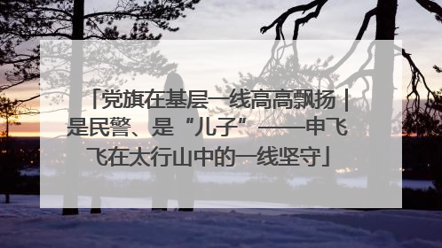 党旗在基层一线高高飘扬｜是民警、是“儿子”——申飞飞在太行山中的一线坚守