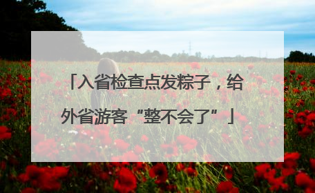 入省检查点发粽子，给外省游客“整不会了”