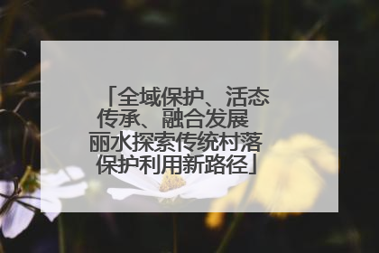 全域保护、活态传承、融合发展 丽水探索传统村落保护利用新路径