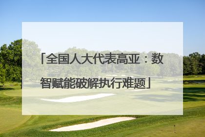 全国人大代表高亚：数智赋能破解执行难题