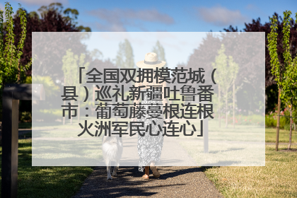 全国双拥模范城（县）巡礼新疆吐鲁番市：葡萄藤蔓根连根 火洲军民心连心