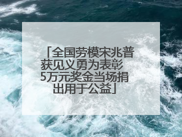全国劳模宋兆普获见义勇为表彰 5万元奖金当场捐出用于公益