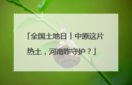 全国土地日丨中原这片热土，河南咋守护？