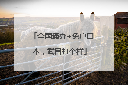 全国通办+免户口本，武昌打个样