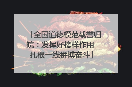 全国道德模范载誉归皖：发挥好榜样作用 扎根一线拼搏奋斗
