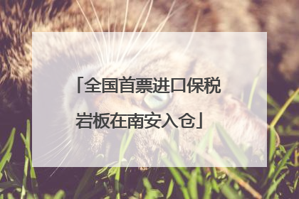 全国首票进口保税岩板在南安入仓