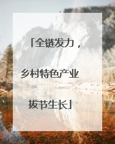 全链发力，乡村特色产业拔节生长