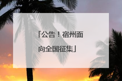 公告！宿州面向全国征集