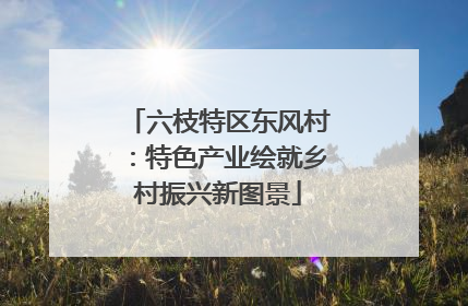 六枝特区东风村：特色产业绘就乡村振兴新图景