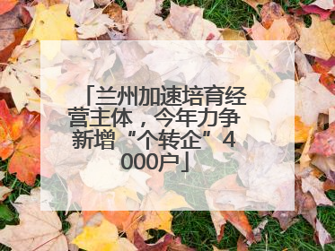 兰州加速培育经营主体，今年力争新增“个转企”4000户