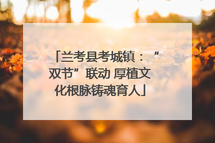 兰考县考城镇：“双节”联动 厚植文化根脉铸魂育人
