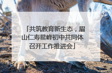 共筑教育新生态，眉山仁寿鳌峰初中共同体召开工作推进会